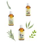 Tinktúry z pupeňov