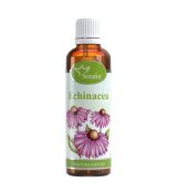Echinacea- tinktúra z bylín