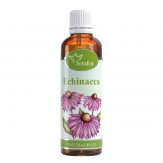 Echinacea- tinktúra z bylín