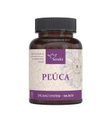 Pľúca- prírodné kapsuly