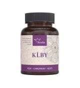 Kĺby- prírodné kapsuly