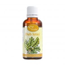 Dub- tinktúra z pupeňov