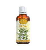 Žihľava- tinktúra z pupeňov