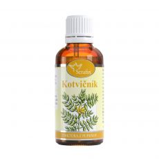 Kotvičník- tinktúra z pupeňov