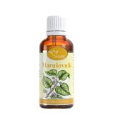 Morušovník- tinktúra z pupeňov