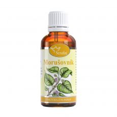 Morušovník- tinktúra z pupeňov