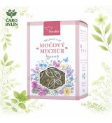 Močový mechúr- bylinný sypaný čaj