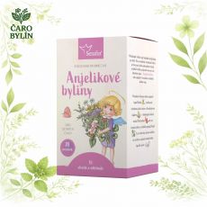 Anjelikové byliny