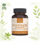 Regenerácia svalov- prírodné kapsuly