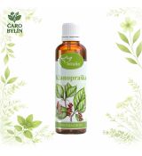 Klanopraška - tinktúra z bylín