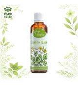 Lastovičník- tinktúra z bylín