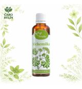 Alchemilka- tinktúra z bylín
