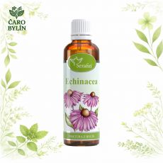 Echinacea- tinktúra z bylín