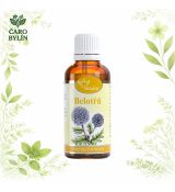 Belotŕň- tinktúra z pupeňov