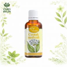 Cesnak medvedí- tinktúra z pupeňov