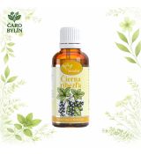 Čierna ríbezľa- tinktúra z pupeňov