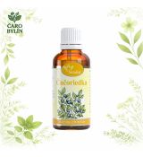 Čučoriedka- tinktúra z pupeňov