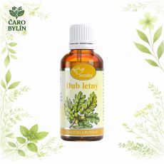 Dub- tinktúra z pupeňov