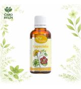 Kapucínka- tinktúra z pupeňov