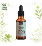 Čaga - tinktúra