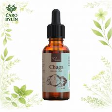 Čaga - tinktúra