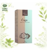 Čaga - prírodné kapsuly