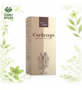 Cordyceps - prírodné kapsuly