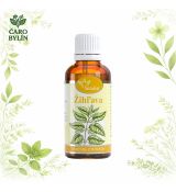 Žihľava- tinktúra z pupeňov