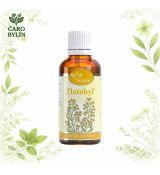 Zlatobyľ- tinktúra z pupeňov