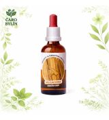 Dračia krv - Vilcacora