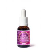 Ashwagandha - Dračia krv