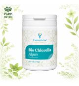 CHLORELLA ALGEN (350 tabliet)