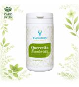 Quercetin extrakt 95%